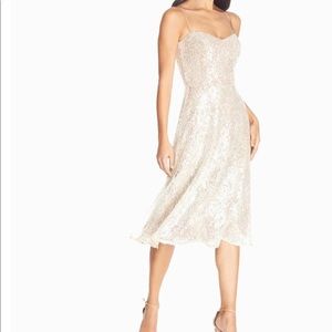 Never been worn Dress The Population !! Cocktail or bridesmaid dress!